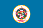 Minnesota flag